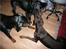Gordon setter Storaaens Chief "Pelle" - fik dig
