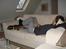 Blanding af racer Luca - Luca og far sover hehe...