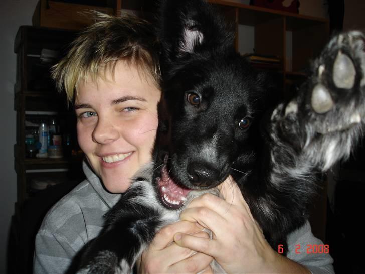 Blanding af racer Lunte billede 3