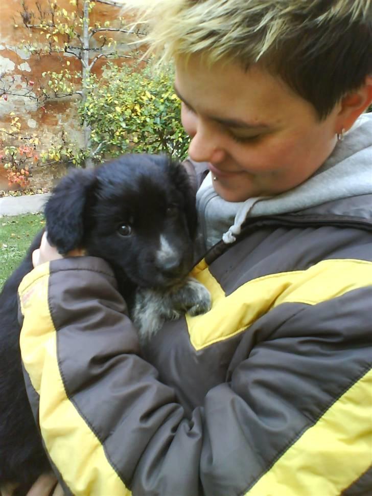 Blanding af racer Lunte billede 6