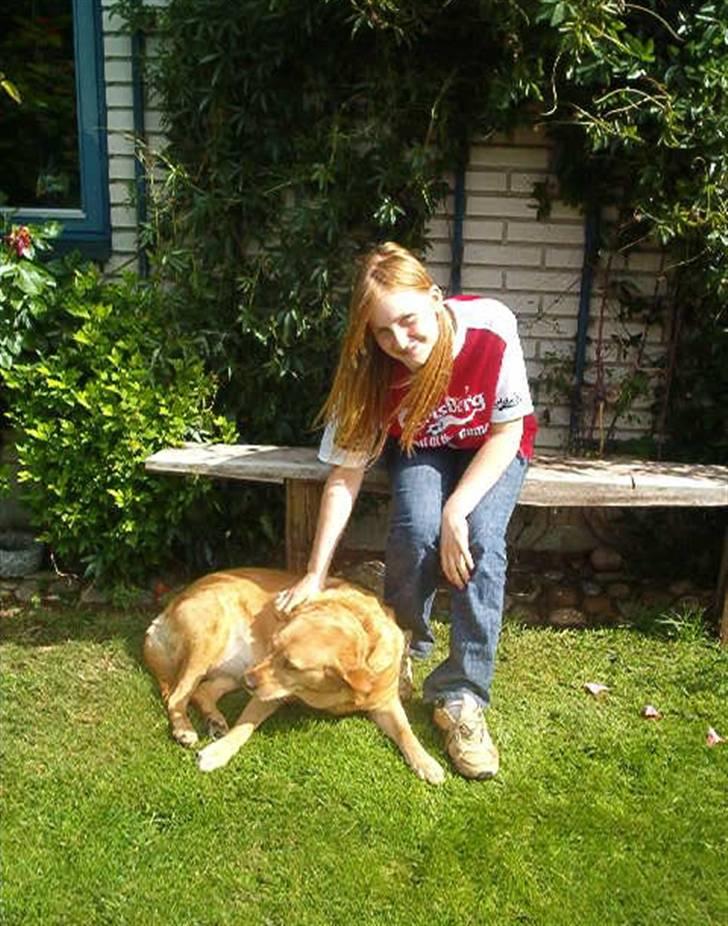 Labrador retriever Miko - Min veninde Maria og Miko som Ung vovse billede 8