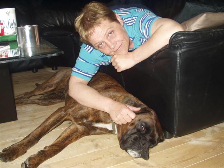 Boxer ~PAW VON REUSS~død*2004* - Dig og mig og vi to. billede 4