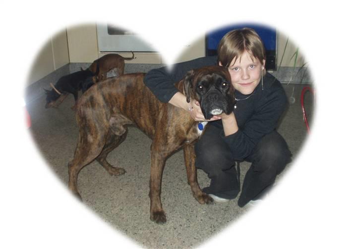Boxer ~PAW VON REUSS~død*2004* - To der var glade for hinanden. billede 5