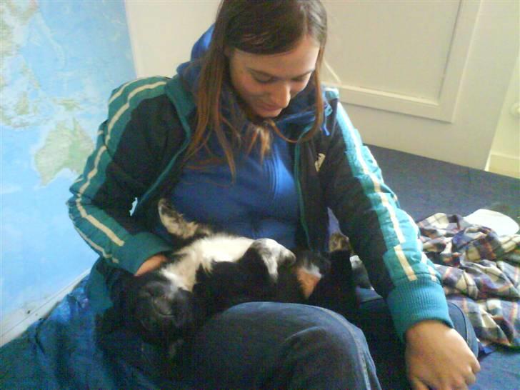 Blanding af racer Lunte billede 9