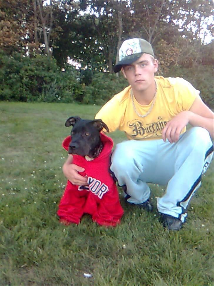 Amerikansk staffordshire terrier Brian ! R.I.P ='(  billede 15