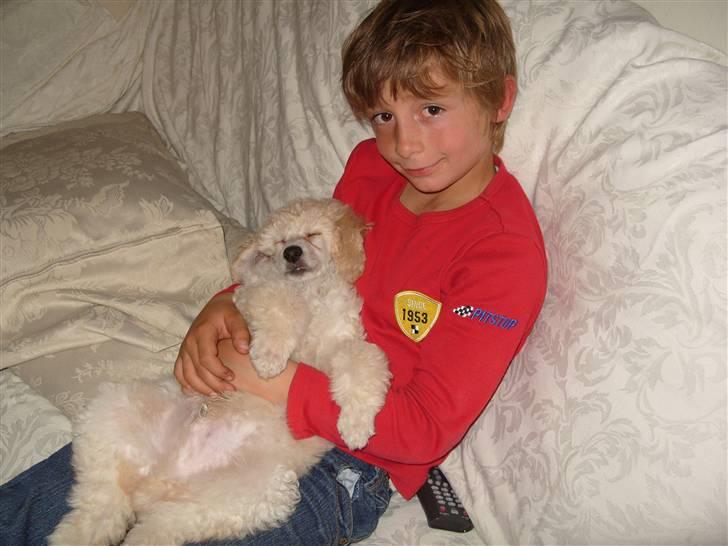 Storpuddel Khan billede 4