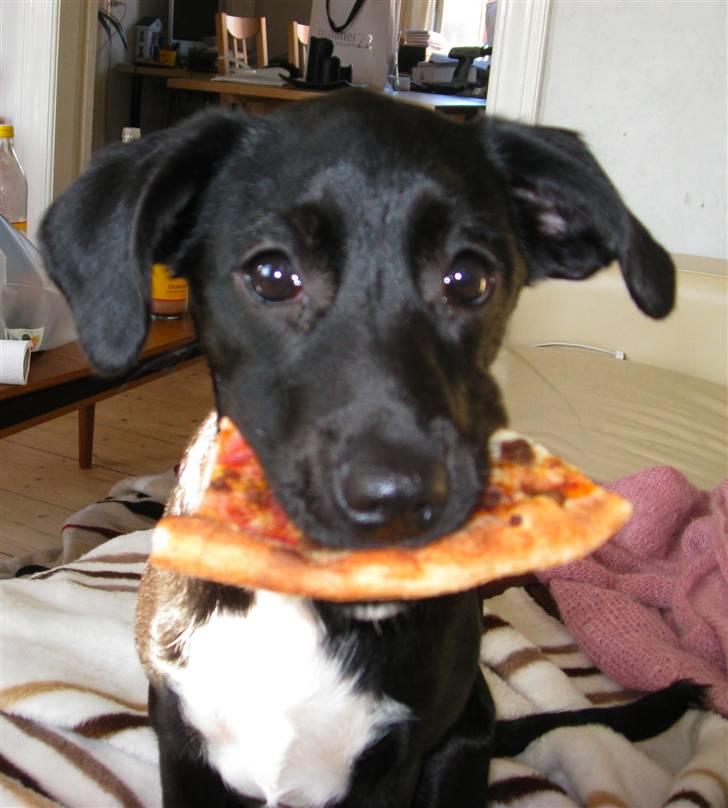 Blanding af racer Karla Malone - Vil du dele, mor? billede 7