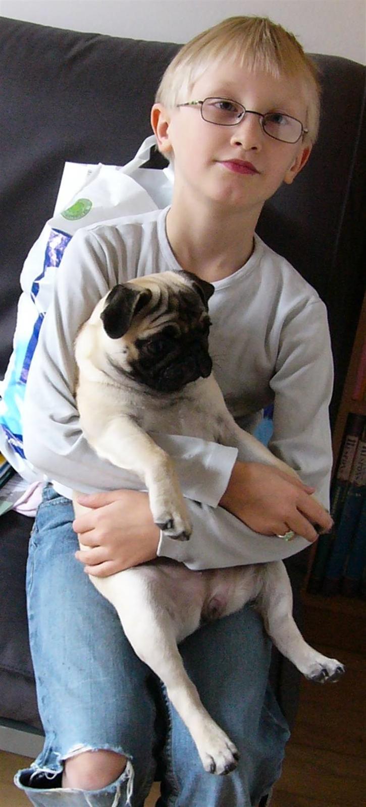 Mops Souvinier's Hilda (Donna) - Maiken og Donna.. billede 13