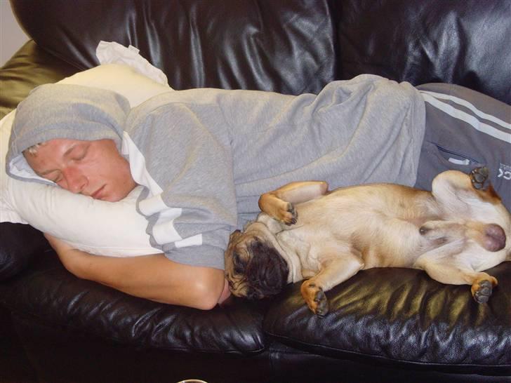 Blanding af racer Magnus - Som sagt han elsker at putte... MEGET!!! billede 16