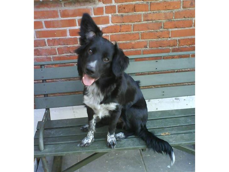 {{currentPhoto.altText}} billede {{currentPhoto.number}}