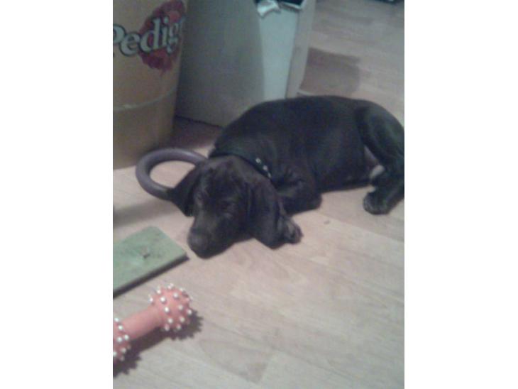 {{currentPhoto.altText}} billede {{currentPhoto.number}}