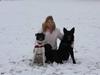 Border collie Cassie