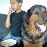 Blanding af racer thorkild