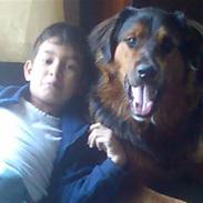 Blanding af racer thorkild