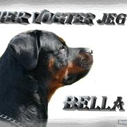 Rottweiler Bella *MIT ET & ALT* *R.I.P* 