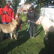 Mastiff zonders amazing diesel