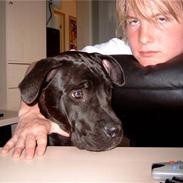 Blanding af racer Chloe † R.I.P. †