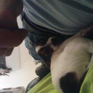 Blanding af racer Jackie