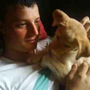 Blanding af racer Malu