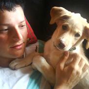 Blanding af racer Malu