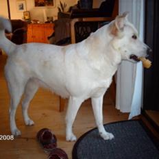 Blanding af racer Lui