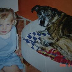 Blanding af racer Dina R.I.P