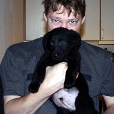 Blanding af racer Nani