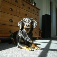 Blanding af racer tulle