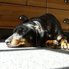 Blanding af racer tulle