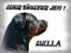 Rottweiler Bella *MIT ET & ALT* *R.I.P*  - Det skilt som der skal sidde på min dør, som mor har lavede (: