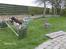 Engelsk springer spaniel sylle - Igen <3