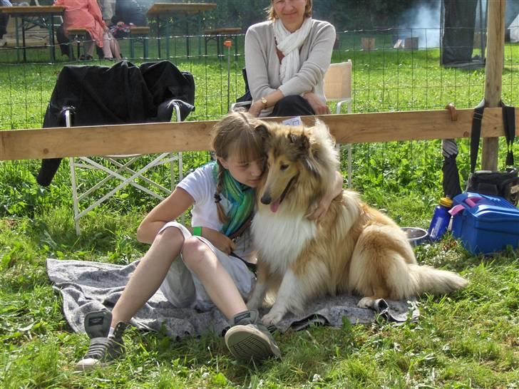 Collie langhåret Nitopets Impressive Inca - til børnedyrskue  billede 9