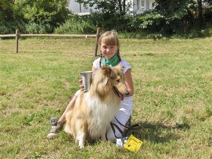 Collie langhåret Nitopets Impressive Inca - vi havde fået vores præmier billede 10