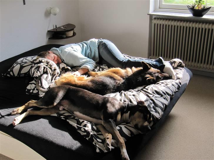 Blanding af racer Mars billede 3