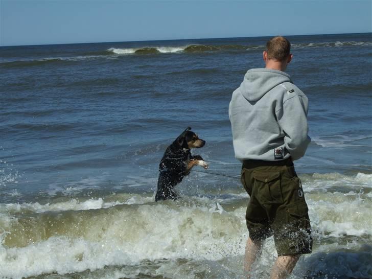 Blanding af racer Mars billede 4