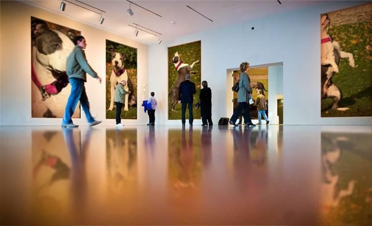 Amerikansk staffordshire terrier Akeela - Skovtur =) billede 20