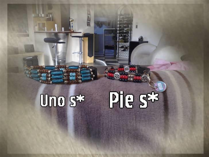 Border collie Amazing UNO - UNO & PIES halsbonne som er lavet af perler:D:D:D:D:D:D:DD billede 10