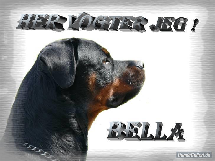 Rottweiler Bella *MIT ET & ALT* *R.I.P*  - Det skilt som der skal sidde på min dør, som mor har lavede (: billede 2