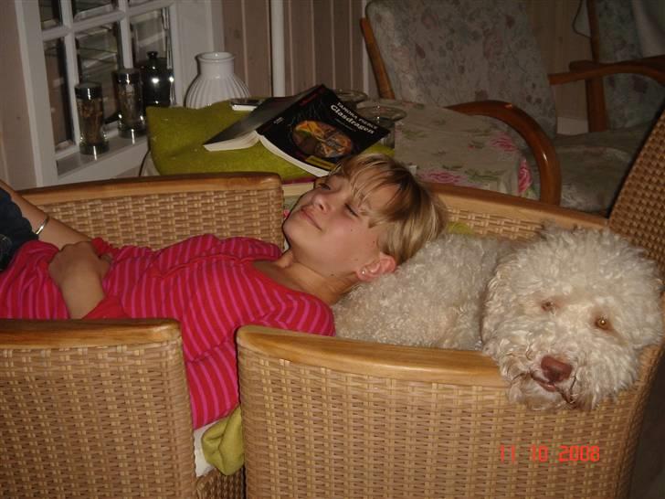 Lagotto romagnolo Luna - Mig og Luna <3 billede 9