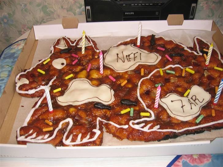 Newfoundlænder Niffi (himmelhund) - Det er vigtig med en god kage når man bliver en gammel dame billede 6