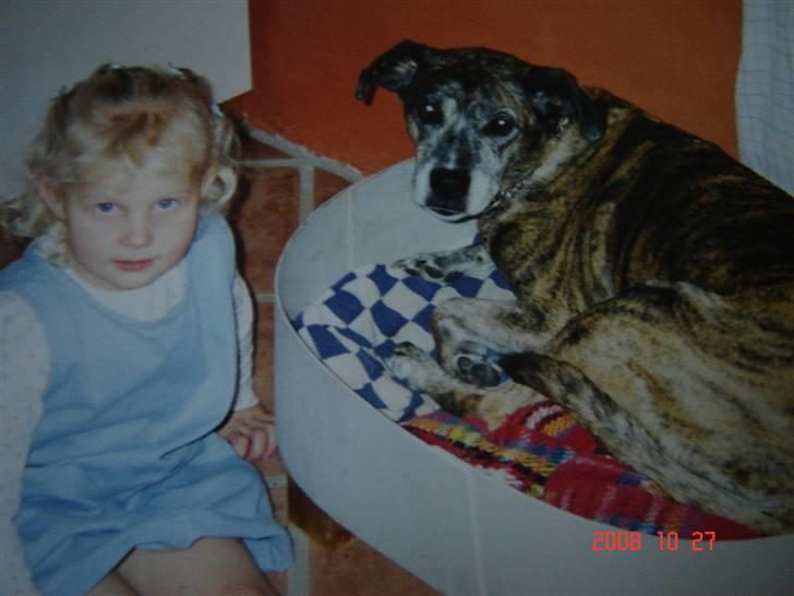 Blanding af racer Dina R.I.P billede 1