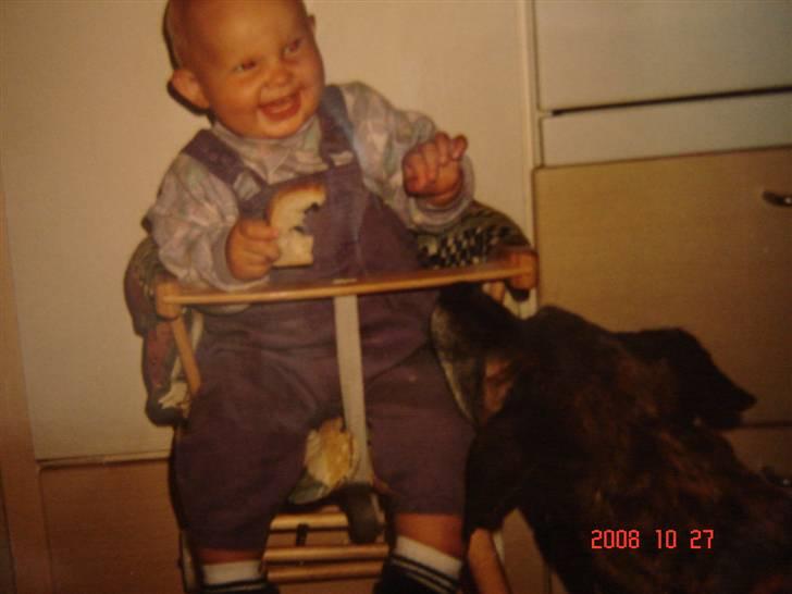 Blanding af racer Dina R.I.P - her er Dina ved at stjæle min mad billede 4