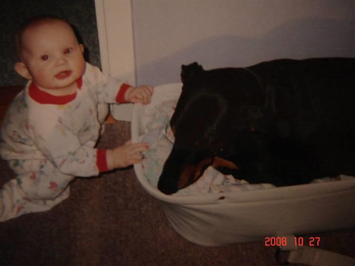 Dobermann Zenta og tani R.I.P - Mig og Zenta billede 10