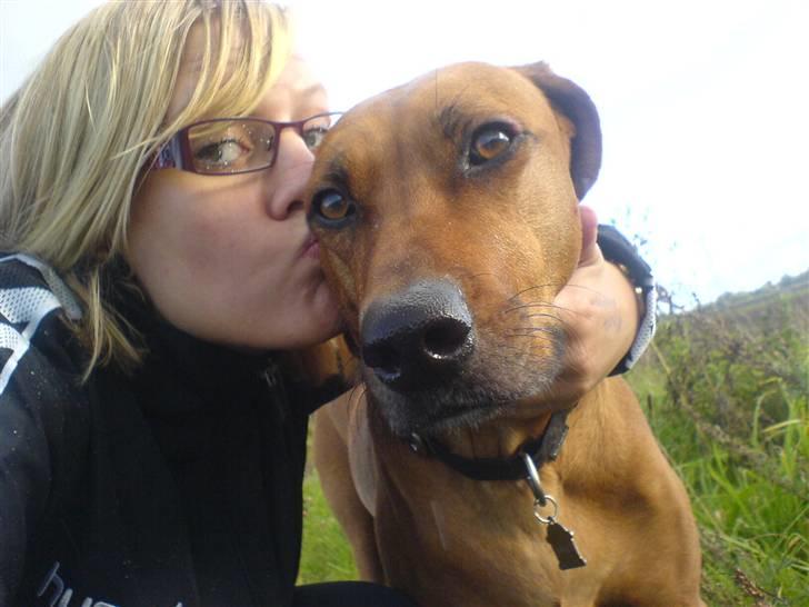 Rhodesian ridgeback Tuasiwa's Ga-ma Akili - Akili og Christina :´)  billede 6