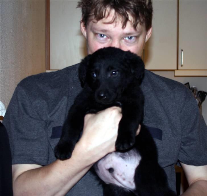 Blanding af racer Nani - Min mand med Nani billede 2