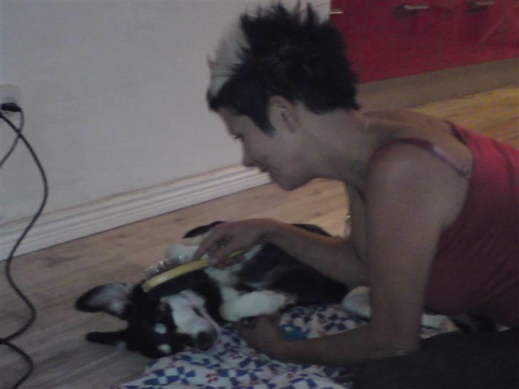 Blanding af racer Khala billede 3