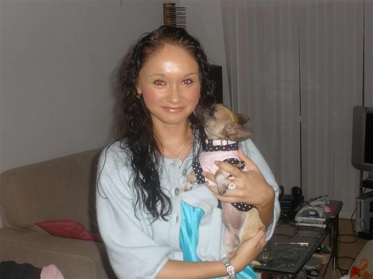 Chihuahua Mussie - Mussie & jeg - elsker hende (L) billede 7