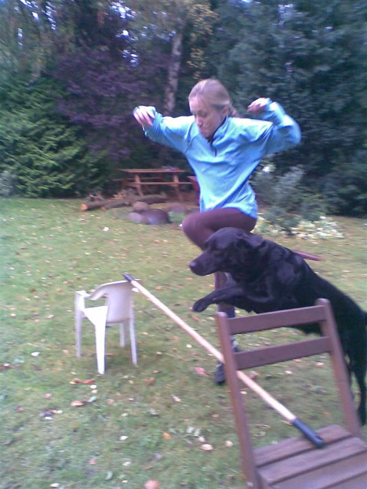 Blanding af racer Smilla billede 4