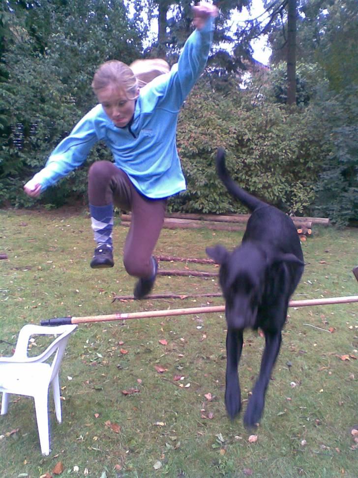 Blanding af racer Smilla billede 5