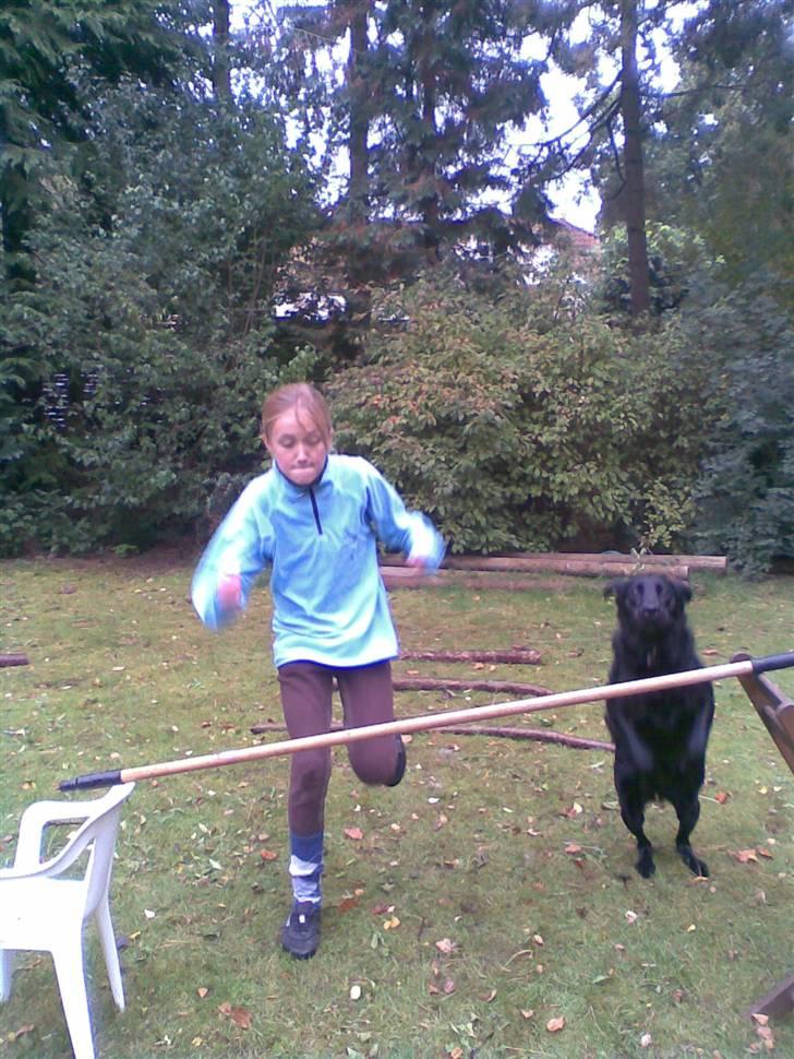 Blanding af racer Smilla billede 6